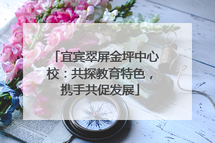 宜宾翠屏金坪中心校：共探教育特色，携手共促发展