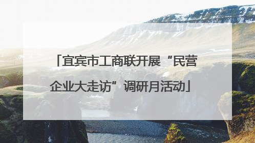 宜宾市工商联开展“民营企业大走访”调研月活动