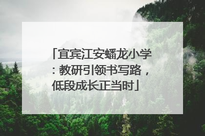 宜宾江安蟠龙小学：教研引领书写路，低段成长正当时