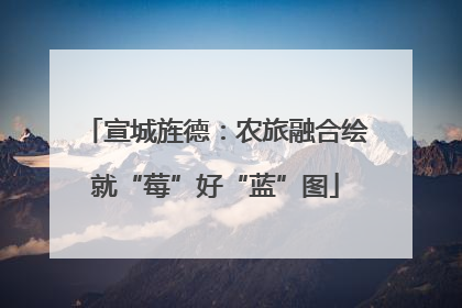 宣城旌德：农旅融合绘就“莓”好“蓝”图