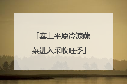 塞上平原冷凉蔬菜进入采收旺季