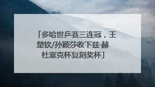 多哈世乒赛三连冠，王楚钦/孙颖莎收下兹·赫杜塞克杯复刻奖杯