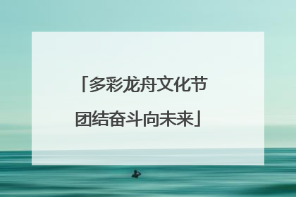 多彩龙舟文化节 团结奋斗向未来