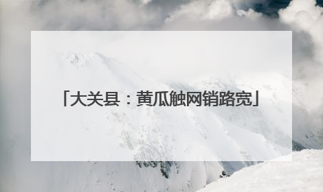 大关县：黄瓜触网销路宽