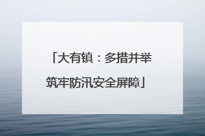 大有镇：多措并举筑牢防汛安全屏障