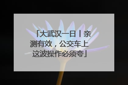 大武汉一日丨亲测有效，公交车上这波操作必须夸