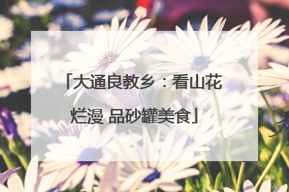 大通良教乡：看山花烂漫 品砂罐美食