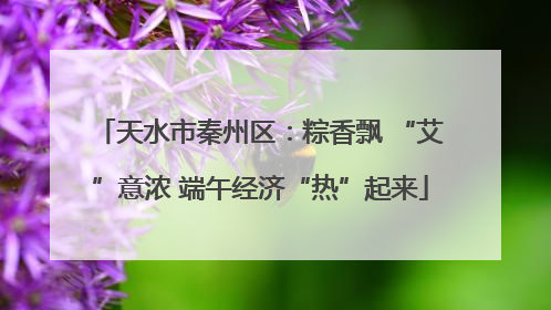 天水市秦州区：粽香飘 “艾”意浓 端午经济“热”起来