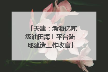 天津：渤海亿吨级油田海上平台陆地建造工作收官