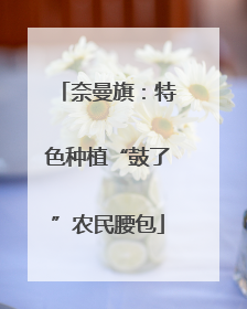 奈曼旗：特色种植“鼓了”农民腰包