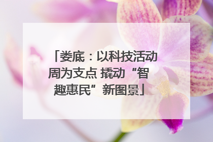 娄底：以科技活动周为支点 撬动“智趣惠民”新图景