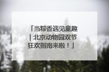 当粽香遇见童趣｜北京动物园双节狂欢指南来啦！