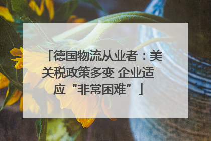 德国物流从业者：美关税政策多变 企业适应“非常困难”