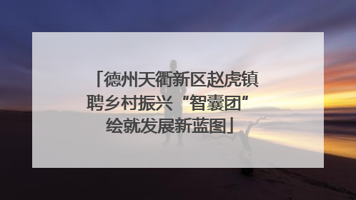 德州天衢新区赵虎镇聘乡村振兴“智囊团” 绘就发展新蓝图
