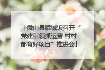 微山县驩城镇召开“党建引领抓运营 村村都有好项目”推进会