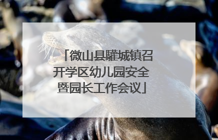 微山县驩城镇召开学区幼儿园安全暨园长工作会议