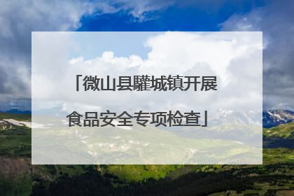 微山县驩城镇开展食品安全专项检查