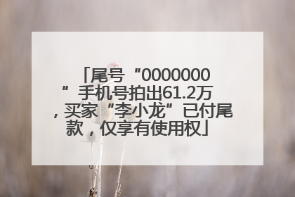 尾号“0000000”手机号拍出61.2万，买家“李小龙”已付尾款，仅享有使用权