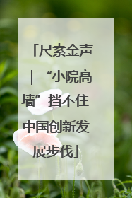 尺素金声｜“小院高墙”挡不住中国创新发展步伐