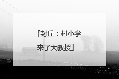 封丘：村小学来了大教授