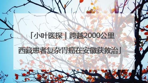 小叶医探｜跨越2000公里 西藏患者复杂胃癌在安徽获救治