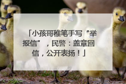 小孩哥稚笔手写“举报信”，民警：盖章回信，公开表扬！