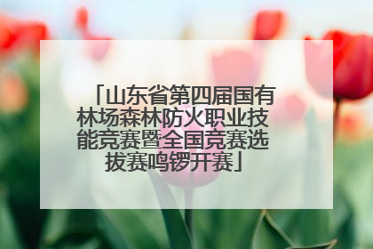 山东省第四届国有林场森林防火职业技能竞赛暨全国竞赛选拔赛鸣锣开赛