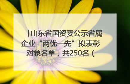 山东省国资委公示省属企业“两优一先”拟表彰对象名单，共250名（个）党员和党组织