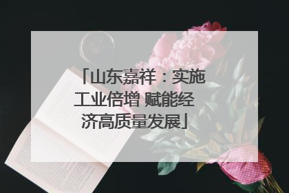 山东嘉祥：实施工业倍增 赋能经济高质量发展