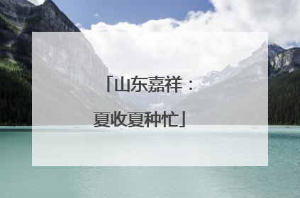 山东嘉祥：夏收夏种忙
