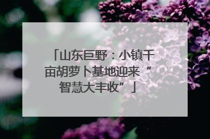 山东巨野：小镇千亩胡萝卜基地迎来“智慧大丰收”