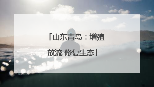 山东青岛：增殖放流 修复生态