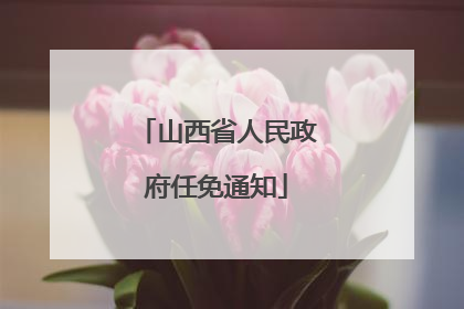山西省人民政府任免通知