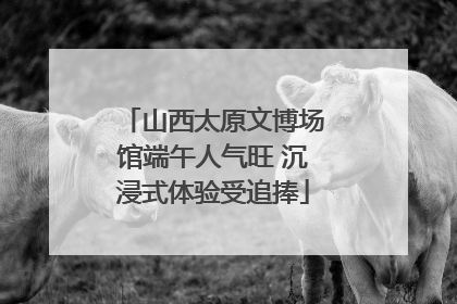 山西太原文博场馆端午人气旺 沉浸式体验受追捧