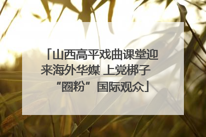 山西高平戏曲课堂迎来海外华媒 上党梆子“圈粉”国际观众