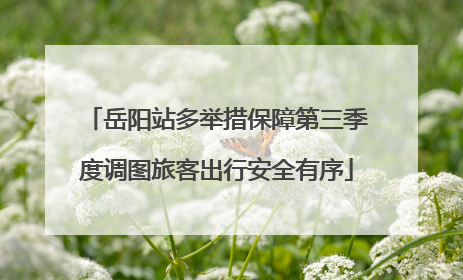 岳阳站多举措保障第三季度调图旅客出行安全有序