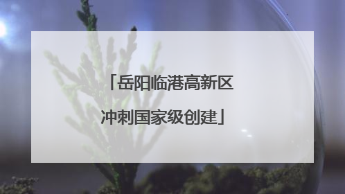 岳阳临港高新区冲刺国家级创建