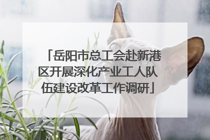 岳阳市总工会赴新港区开展深化产业工人队伍建设改革工作调研