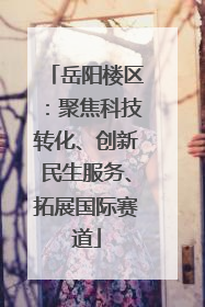 岳阳楼区：聚焦科技转化、创新民生服务、拓展国际赛道