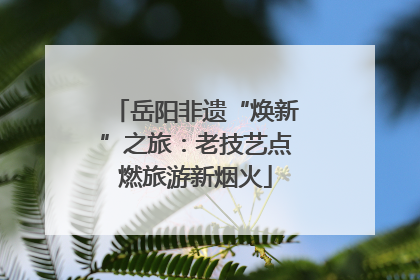 岳阳非遗“焕新”之旅:老技艺点燃旅游新烟火