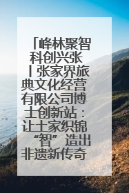峰林聚智 科创兴张丨张家界旅典文化经营有限公司博士创新站：让土家织锦“智”造出非遗新传奇