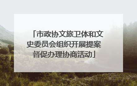 市政协文旅卫体和文史委员会组织开展提案督促办理协商活动