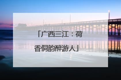 广西三江：荷香侗韵醉游人