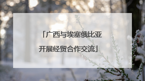 广西与埃塞俄比亚开展经贸合作交流