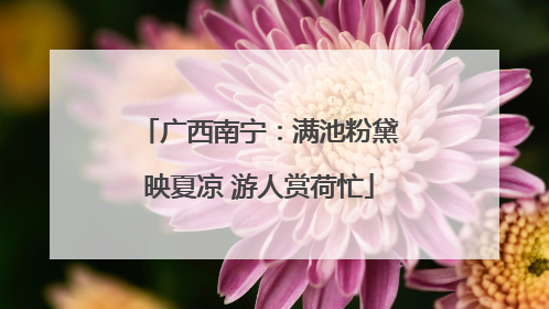 广西南宁：满池粉黛映夏凉 游人赏荷忙