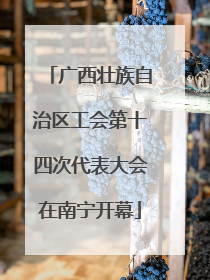广西壮族自治区工会第十四次代表大会在南宁开幕