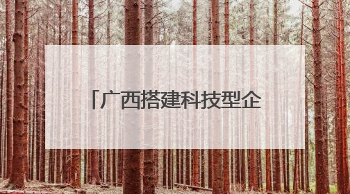 广西搭建科技型企业与金融对接平台 共育新质生产力