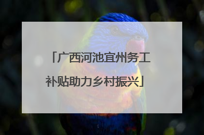 广西河池宜州务工补贴助力乡村振兴