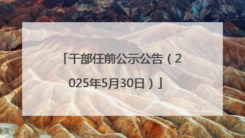 干部任前公示公告（2025年5月30日）