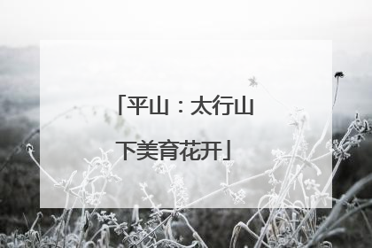 平山：太行山下美育花开